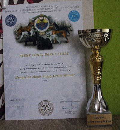Hungarian Minor Puppy Grand  Winner